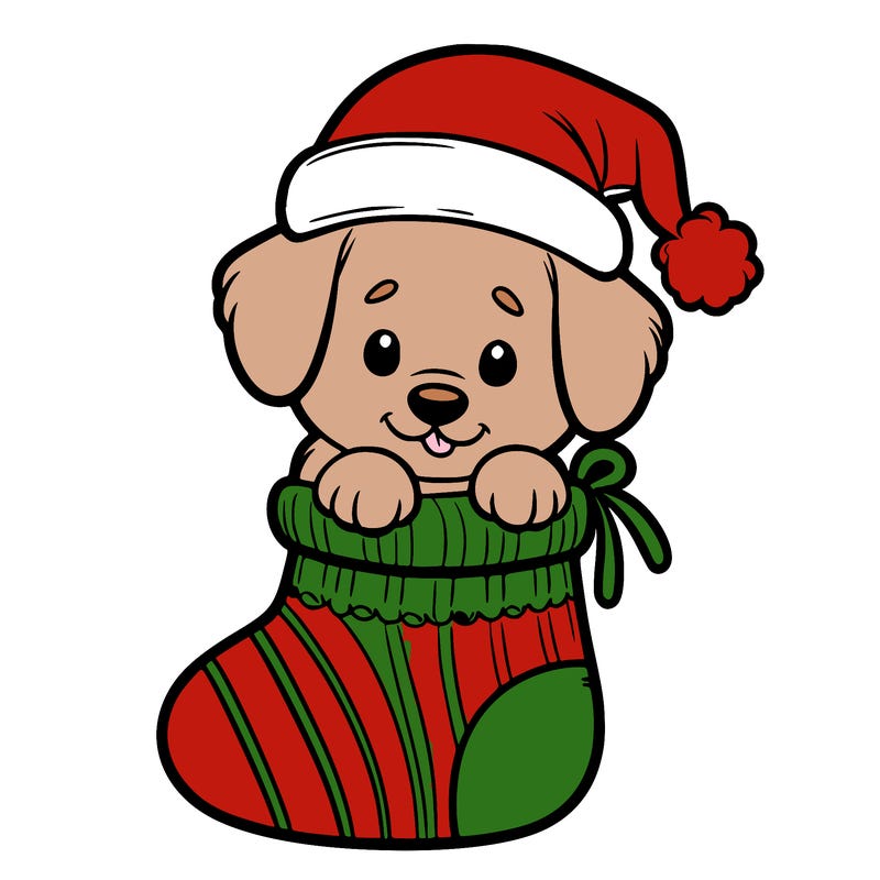 cute puppy wearing santa hat in socking