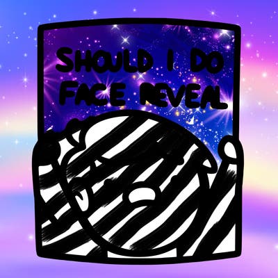 should i do a face reveal