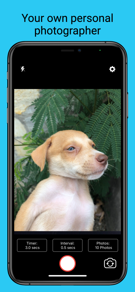 Selfier -Take handsfree photos - Selfier app interface on a smartphone screen showing a puppy photo and settings for a hands-free timer and photo intervals