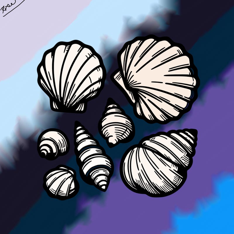 shells