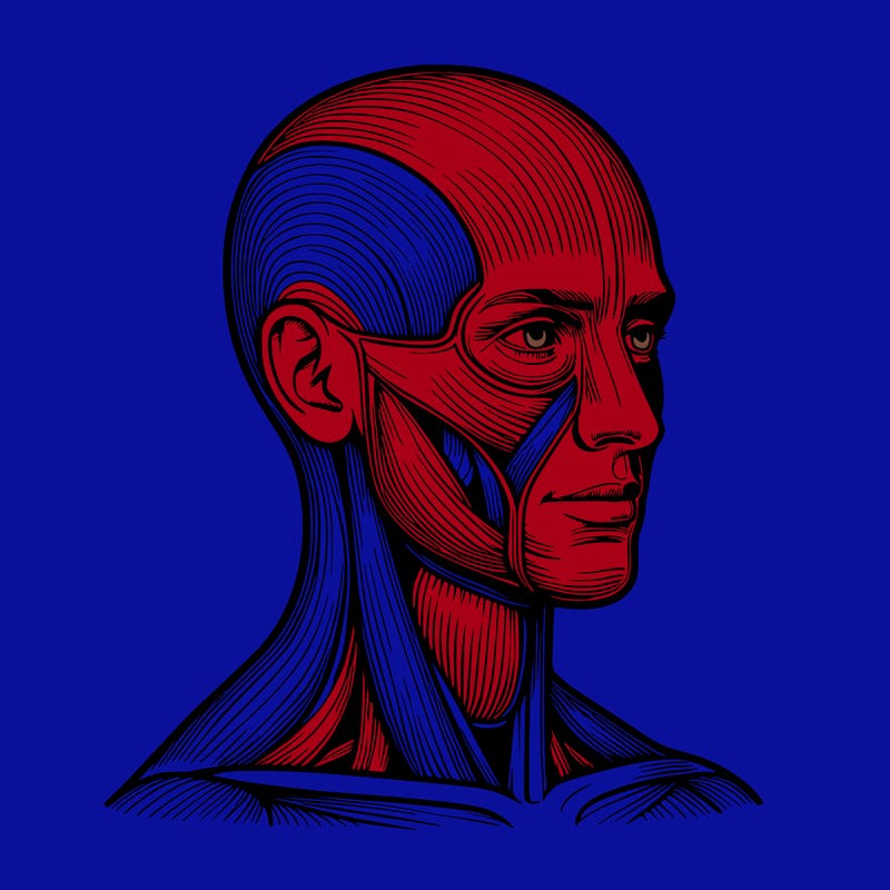 𝚁𝚎𝚊𝚕𝚒𝚜𝚝𝚒𝚌 𝚑𝚞𝚖𝚊𝚗