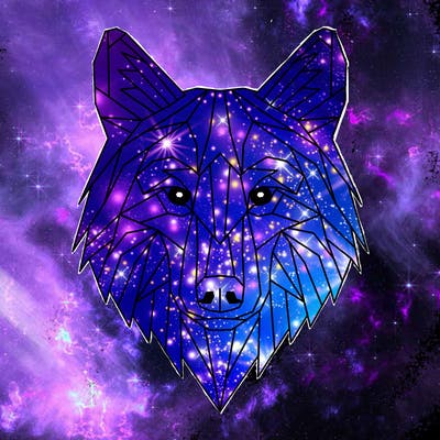 animals_01