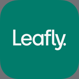 Leafly: Find Weed Near You