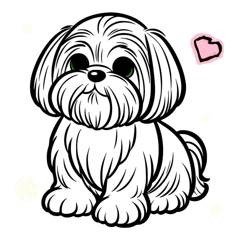 shih tzu