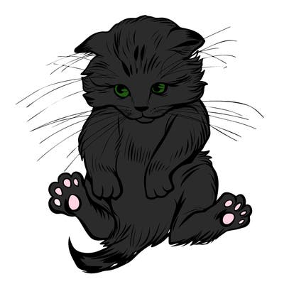 animals_20