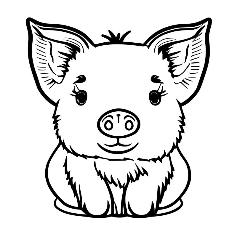 micro pig cute