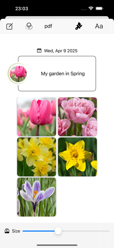 My garden year - Spring garden journal entry showing photos of tulips and daffodils