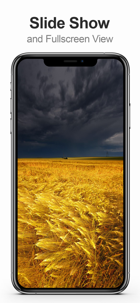 Fullscreen slideshow view of a landscape photo in the MultiTab for Reddit app
