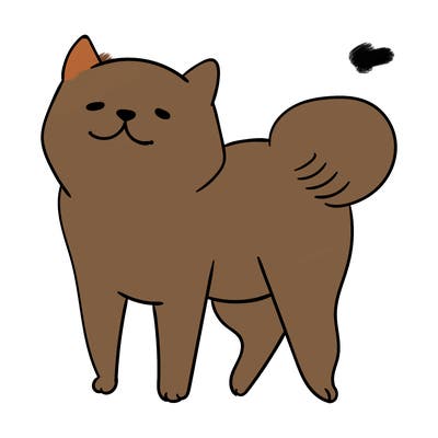 animals_29