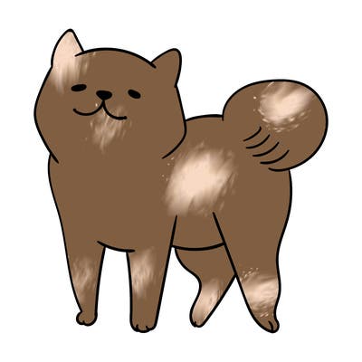 animals_29