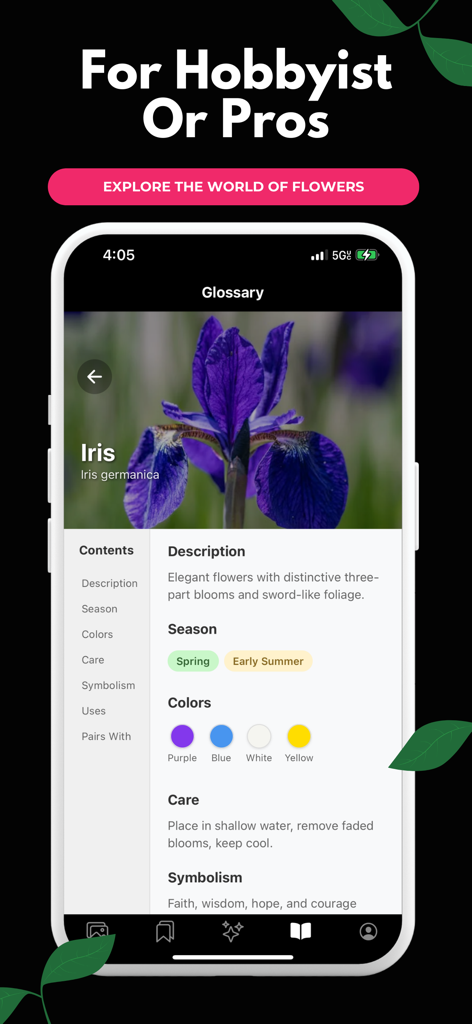 Floral AI - Una página del glosario en la aplicación Floral AI que muestra información detallada de una flor Iris, incluyendo su temporada y instrucciones de cuidado