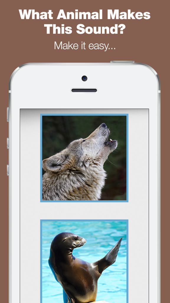 Interface of a toddler game asking to identify animals by sound with photos of a wolf and sea lion