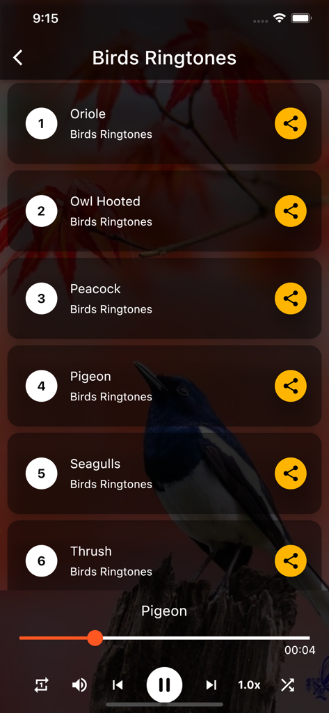 Birds Ringtones - Interface of the Birds Ringtones app showing a list of bird sounds and audio player controls