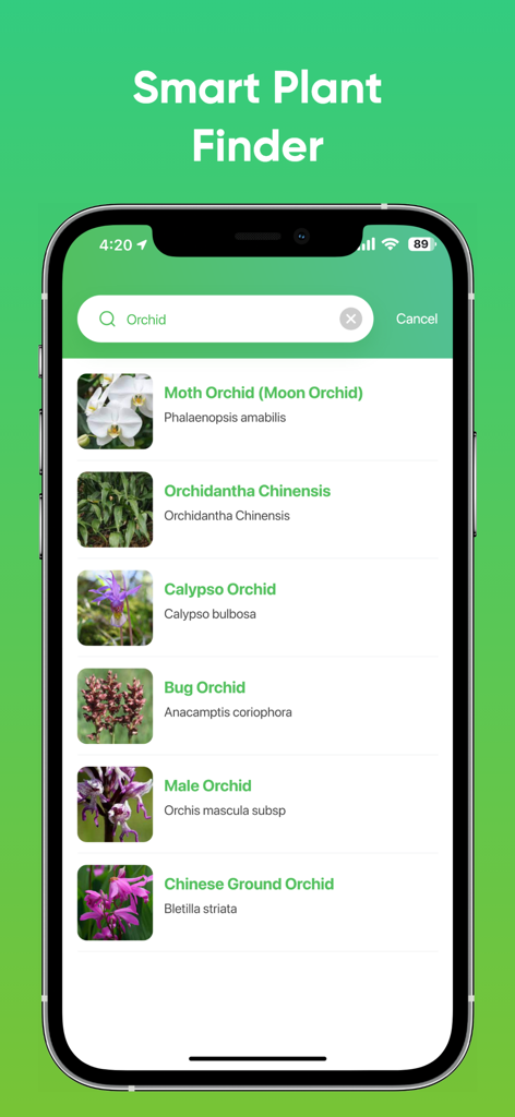 Un smartphone mostrando resultados de búsqueda de varias especies de orquídeas dentro de la interfaz de la aplicación Plantnet Plant Identification.