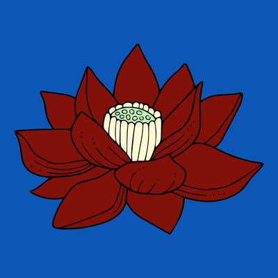 flowers_08