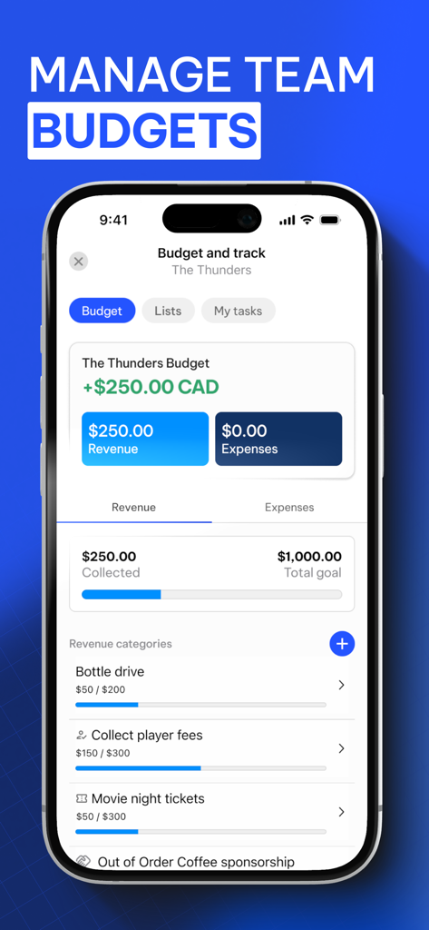 TeamLinkt - Sports Team App - TeamLinkt app interface showing sports team budget tracking and revenue management features