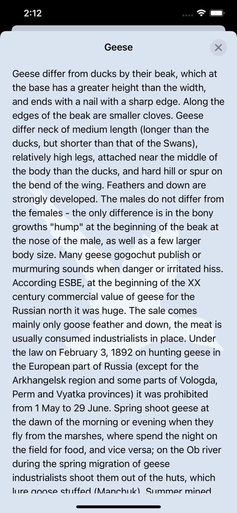 Bird decoy - Uma tela do aplicativo Espantalho de Pássaros fornecendo informações educacionais detalhadas sobre as características e comportamento dos gansos