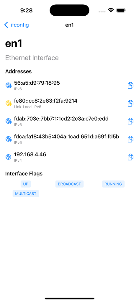 ifconfig - ifconfigアプリのEthernetインターフェースen1の詳細ビュー。IPv4およびIPv6アドレスとステータスフラグを表示します。