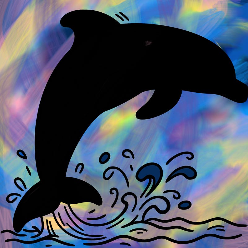 dolphin