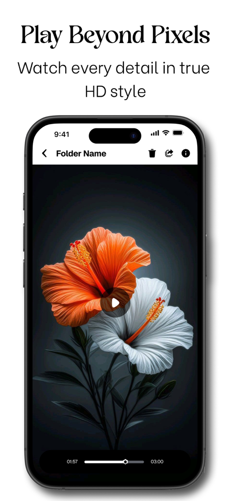 Kapwing ~ Video Editor - Kapwing app video player interface showing high definition playback in a dark minimalist theme