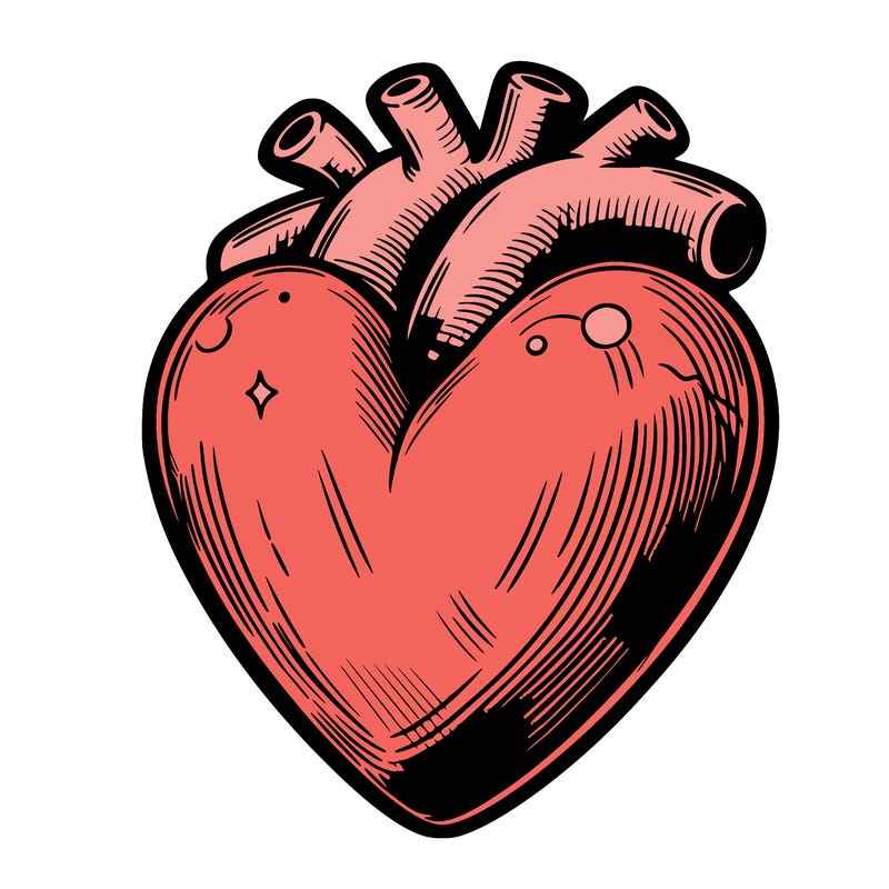 realistic heart