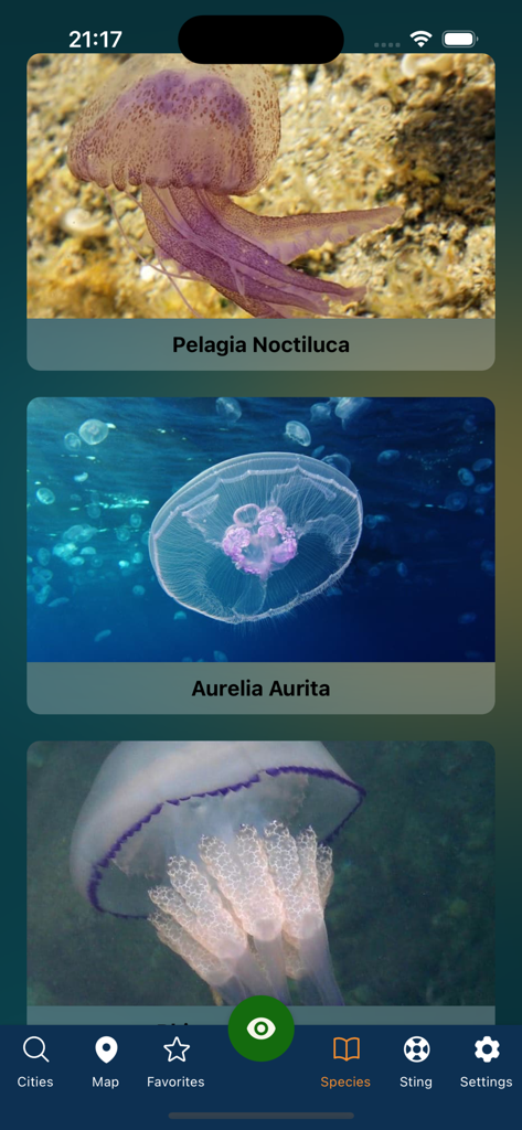 Meduseo - A mobile screen from the Meduseo app showing a directory of jellyfish species with photos and scientific names