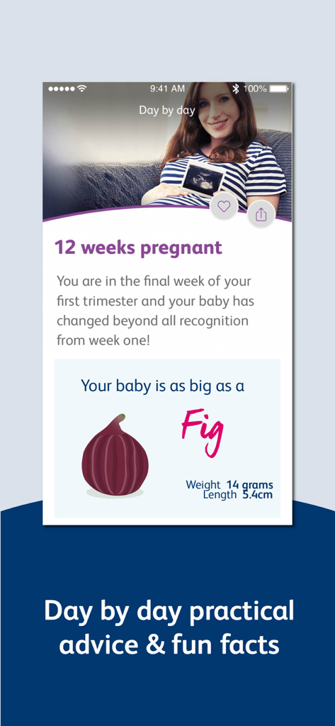 Bounty Pregnancy and Baby App screen showing the 12 weeks pregnant milestone with baby size compared to a fig.