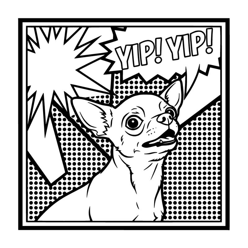 chihuahua
