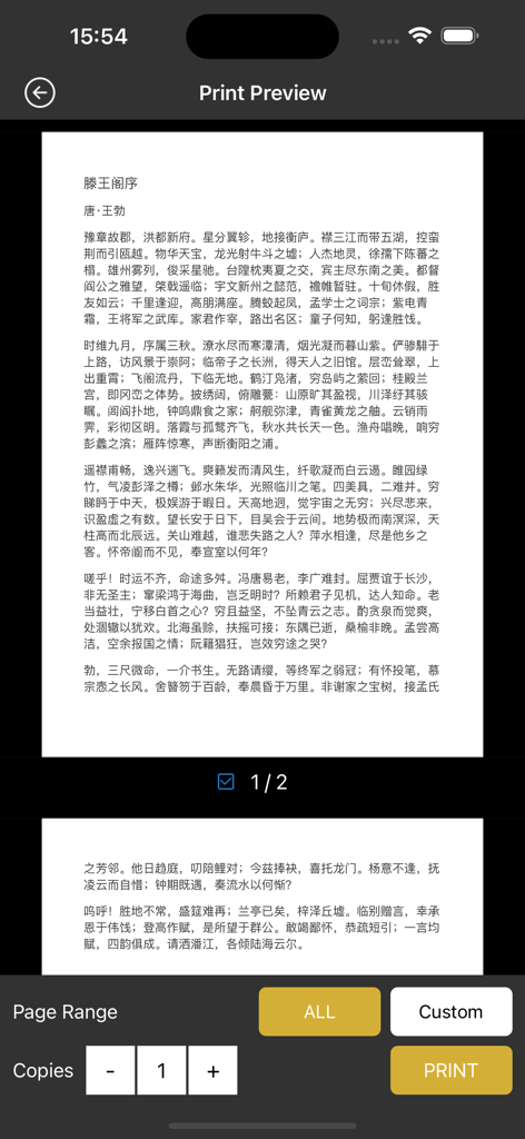 TATTOO PRT - Pantalla de vista previa de impresión de la aplicación TATTOO PRT mostrando la configuración de impresión del documento