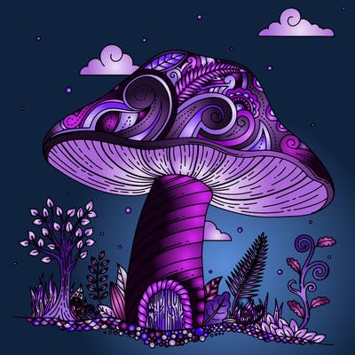 places_26