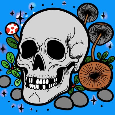 skull