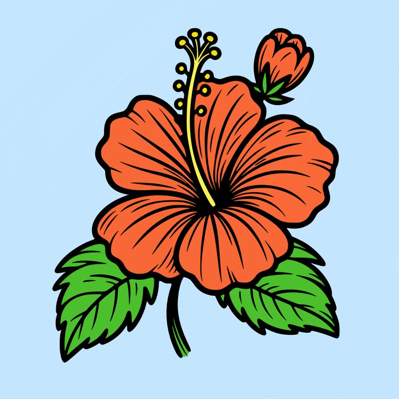 hibiscus flower