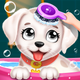Labrador Puppy Care