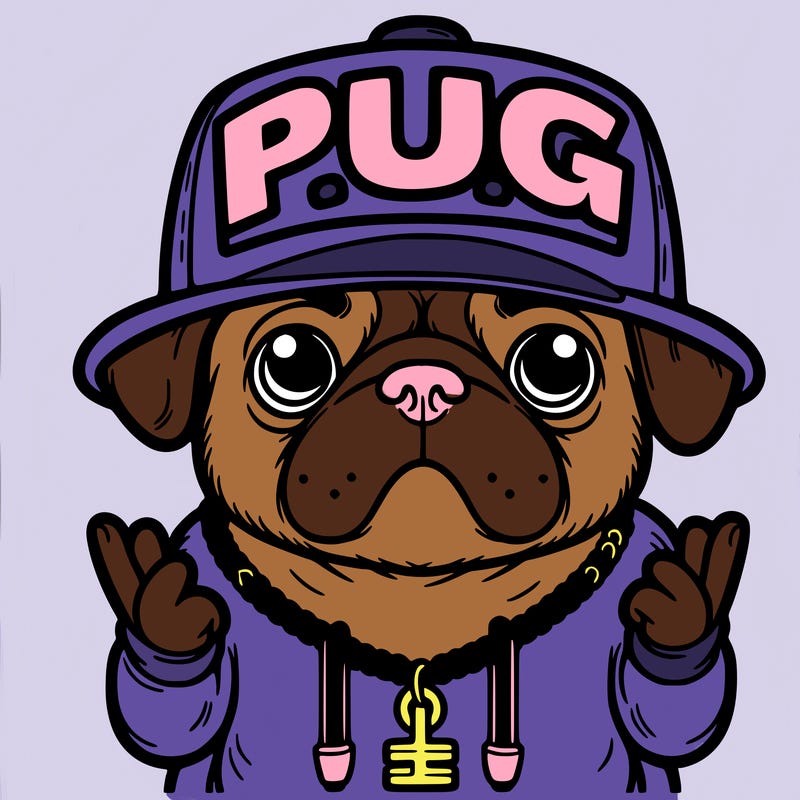 rapper pug with "p.u.g" written on the hat