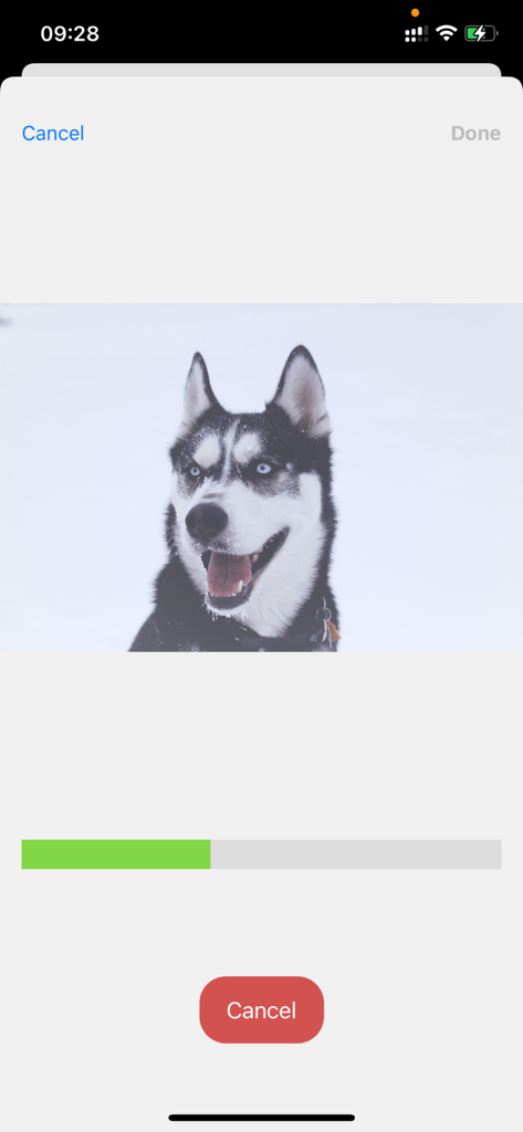 Interfaccia dell'app Cambia Voce che mostra un video di un husky in elaborazione con una barra di avanzamento