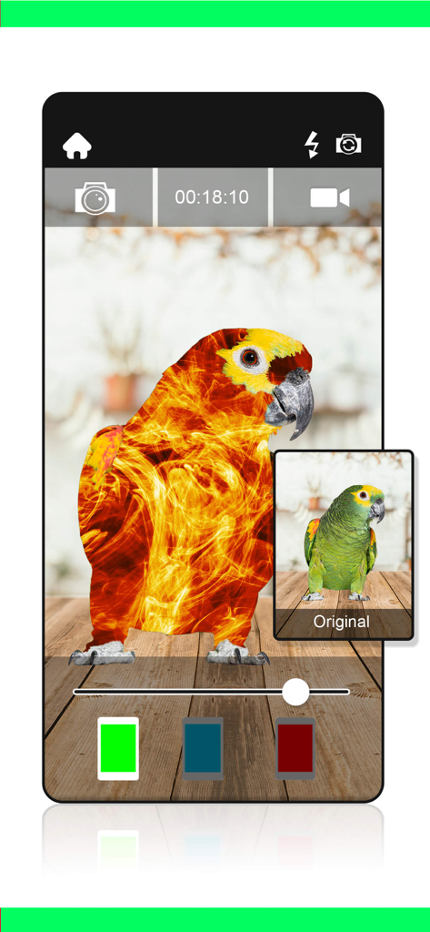 Capture d'écran de l'interface de l'application Chroma key montrant un perroquet avec un effet de feu superposé remplaçant ses plumes vertes