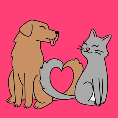 animals_22
