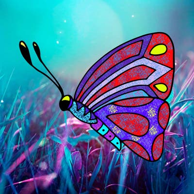 animals_02