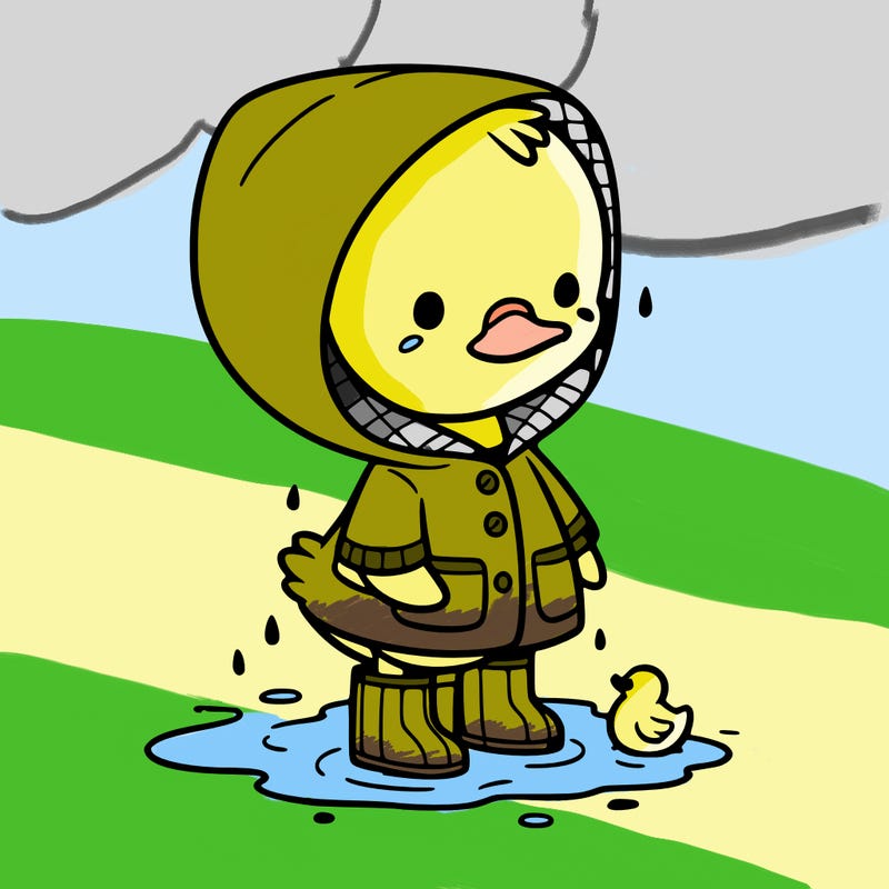 baby duck in a rain coat and boots, in a puddle while it’s raining