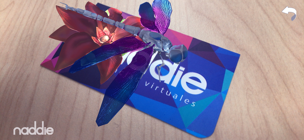 Naddie AR - Augmented reality 3D dragonfly and flower appearing above a Naddie business card