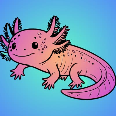 axolotl