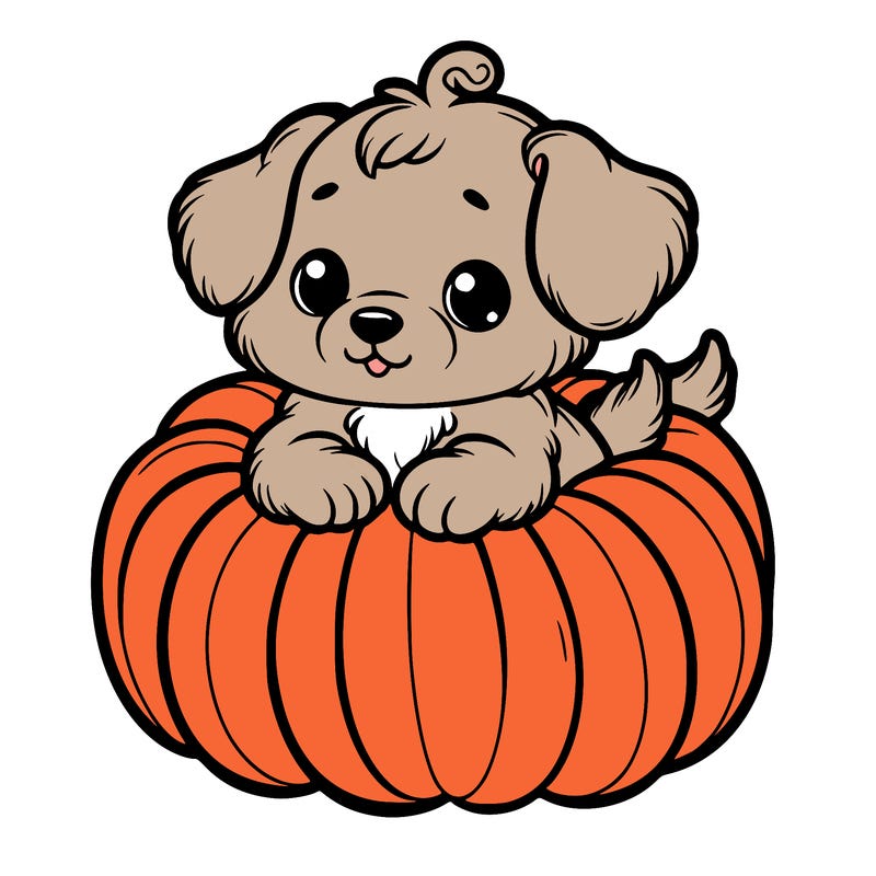 cute little puppy in a pumpkin