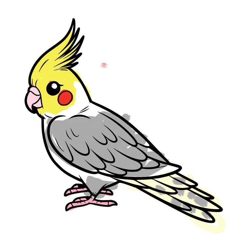 cockatiel