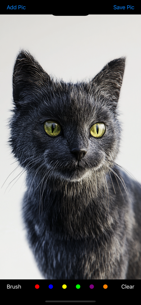 Draw On My Pics - Una captura de pantalla de la interfaz de la aplicación Draw On My Pics que muestra una foto de primer plano de un gato gris con ojos amarillos y opciones de pincel de color en la parte inferior.