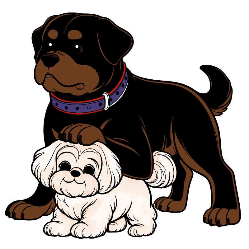 a large rottweiler dog protecting a short fluffy maltese dog
