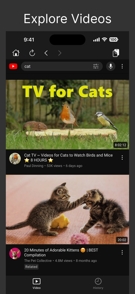 UTube Embed Player - Interface de l'application UTube Embed Player montrant les résultats de recherche YouTube pour des vidéos de chats