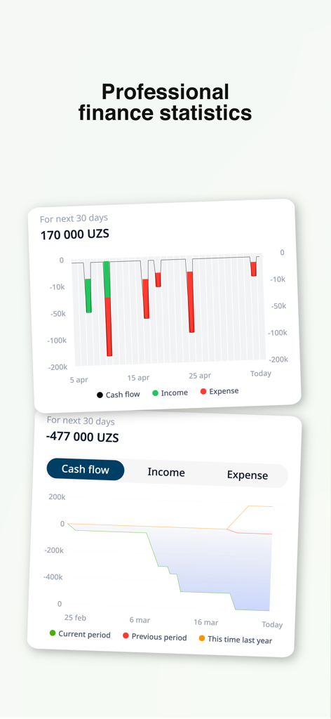 Professional finance statistics and cash flow charts in the Karmon AI app