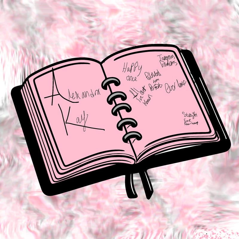 open note book blank