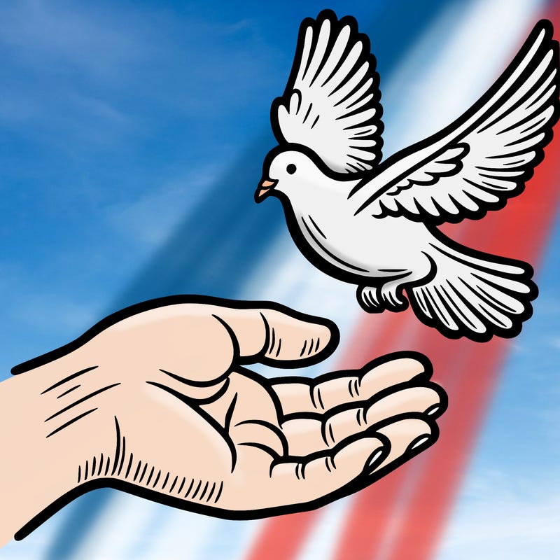 a hand reaching out for a dove