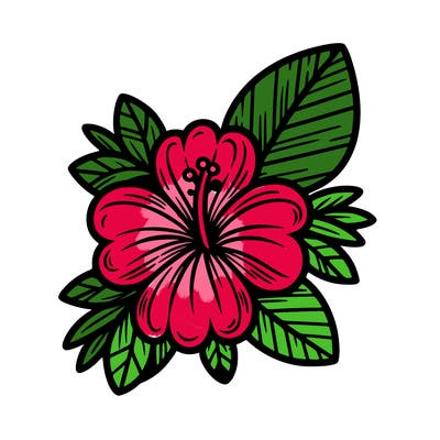 hawaii flower